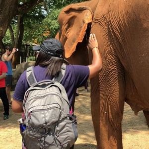 Meet your Posher, Micah